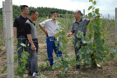 �����ֳ�