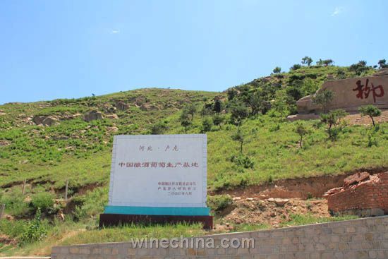 酿酒葡萄基地