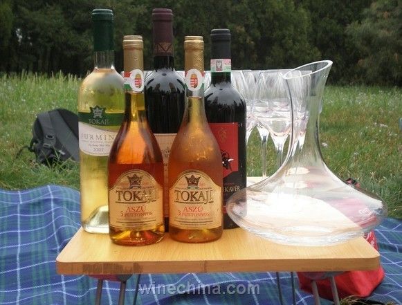 像贵族一样体验匈牙利葡萄酒旅游-中国葡萄酒