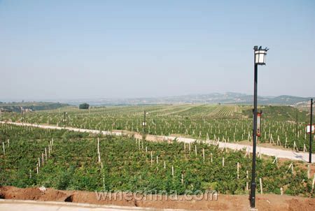 ��ֲ�ڻ�����ԭ�ľ�ׯ����԰һ��