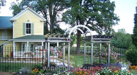 智利圣卡罗:用女人来命名的酒庄 - 中国葡萄酒