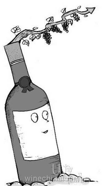 欧盟通过有机葡萄酒新法规