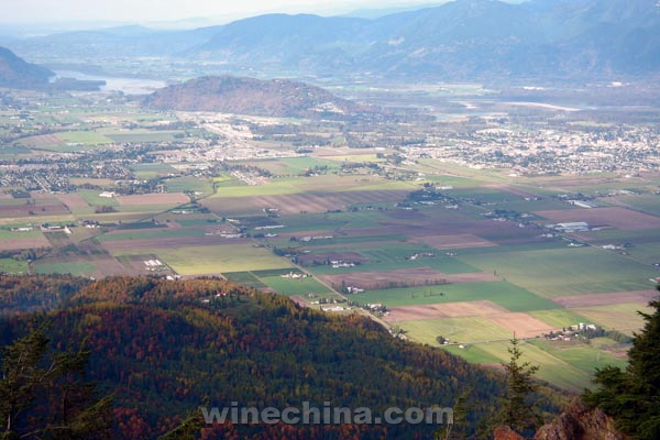 加拿大10佳葡萄酒旅游胜地