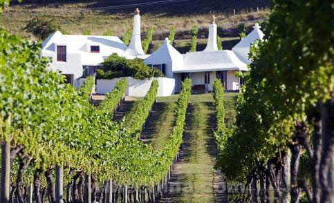 中国人喝葡萄酒让外国酒庄纠结