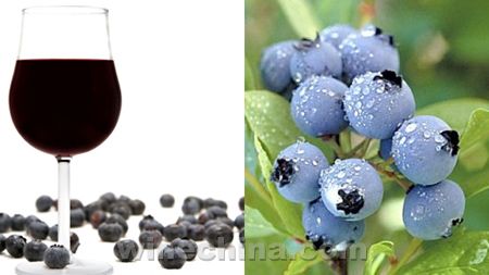 后起之秀:蓝莓酒