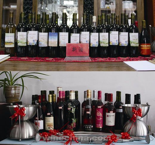 2012五色海岸新酒节11月18日隆重举行