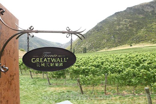 时尚健康过吉祥年,长城葡萄酒春节受青睐