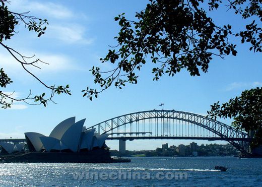 初夏去澳洲感受秋天 阳光海水葡萄酒风情
