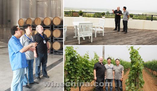 Australian wine writer Denis Gastin visited Jiaodong wine regions