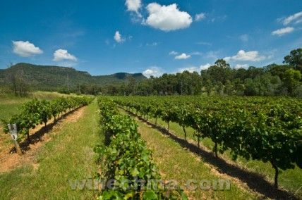 2013�Ĵ��������Ѳ��������������