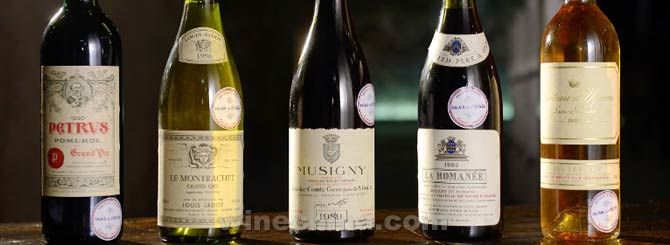 有机铺路,威龙葡萄酒获奖最具差异化竞争企业