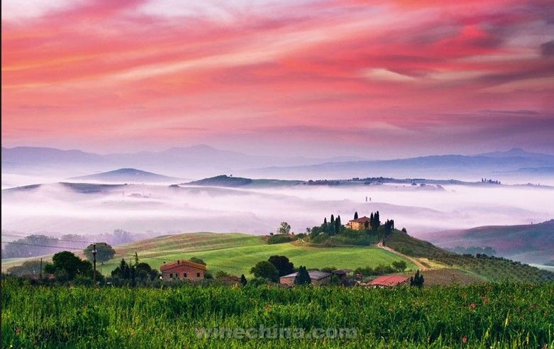 黑天鹅酒庄 理想的托斯卡纳-中国葡萄酒信息网