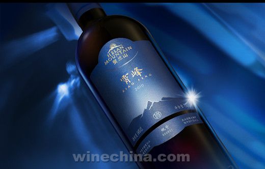 ����ɽ����2010