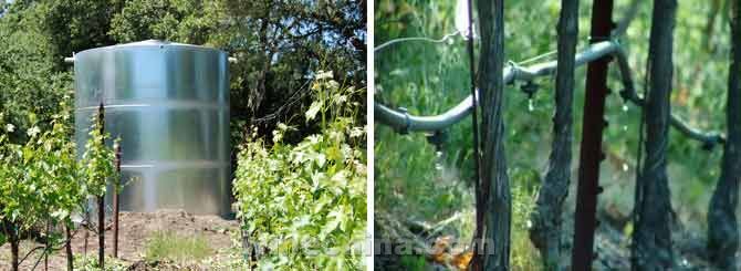 ˮ��Դ��ȱ���谭�������ѾƵ�����