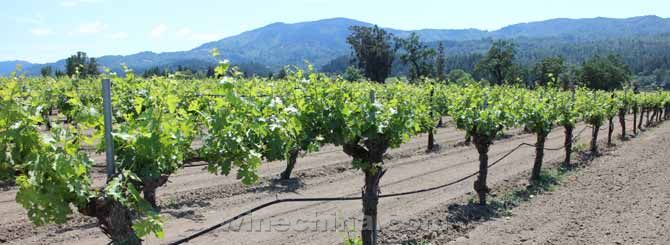 ˮ��Դ��ȱ���谭�������ѾƵ�����