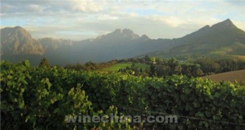 十一必去的八个葡萄酒旅游圣地
