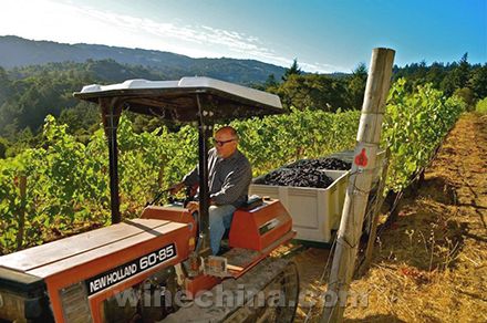 ����ʥ��³��ɽAVA����ϲӭ2013�����Ѵ����