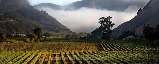 ����Хӥ��ׯǰׯ���չ��˼���������Qup����ׯ