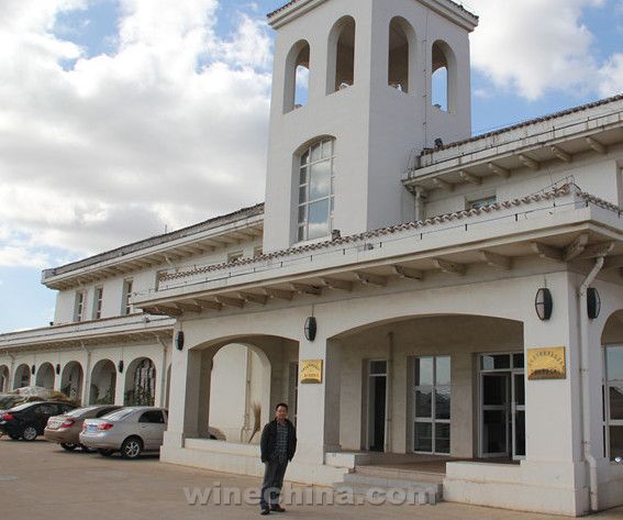 不让中国葡萄酒跌倒在起跑线上--访国内嫁接苗