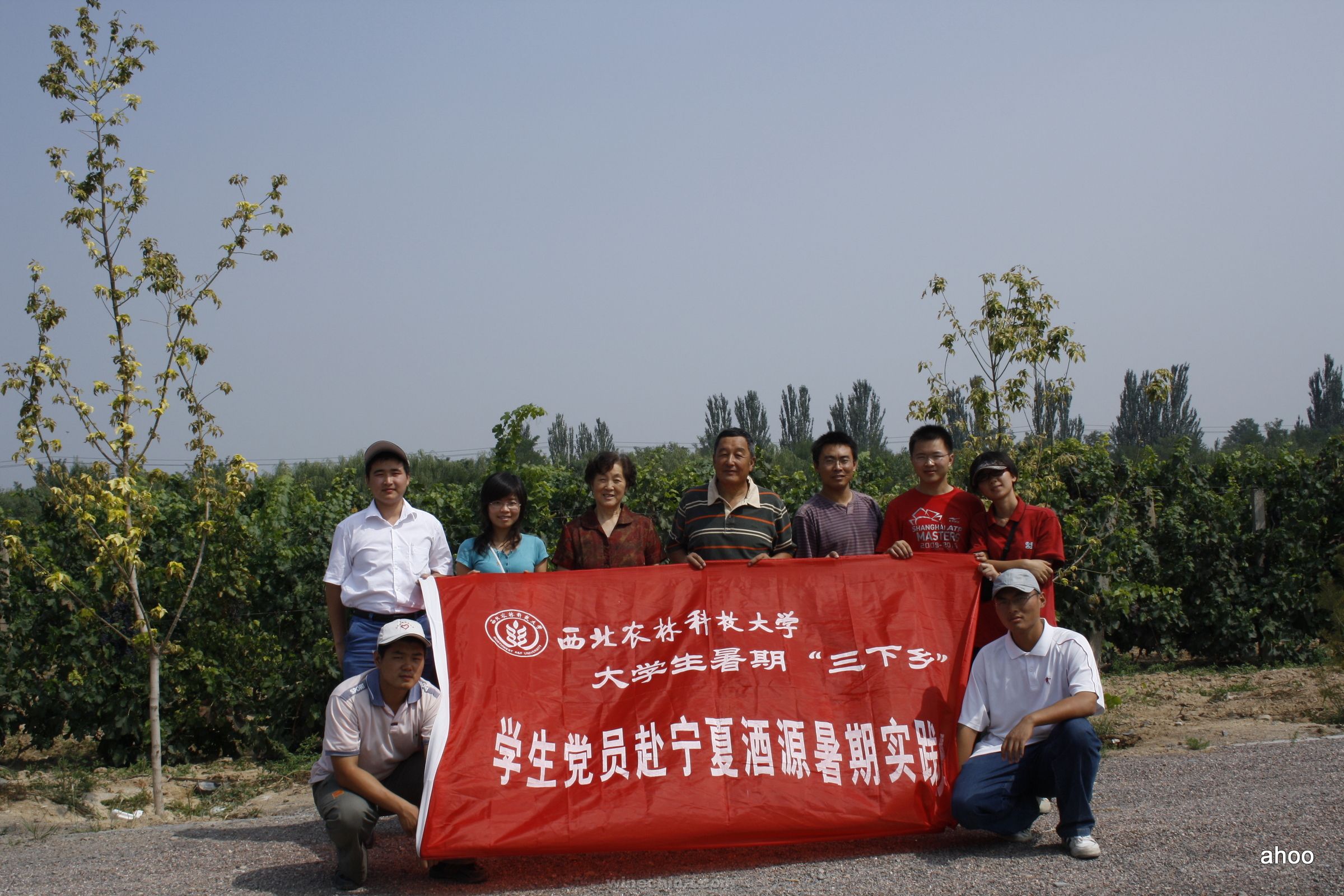 【葡萄酒那些事儿(五)】什么是好的葡萄酒
