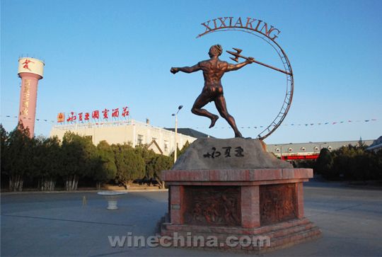 中葡网产区行(十七)龙头企业的带动作用不可忽