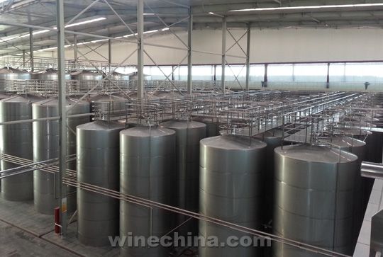 中葡网产区行(十七)龙头企业的带动作用不可忽