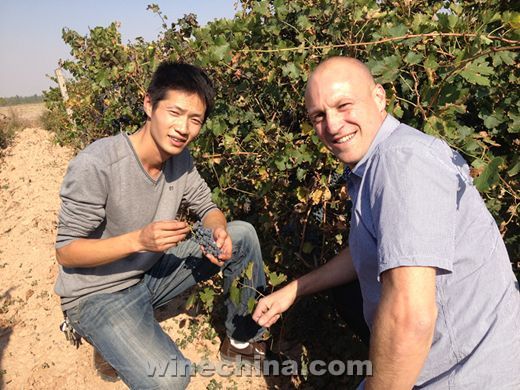 Chinese Winemakers (48) David Mark Tyney: Help Chateau Yuhuang Grow
