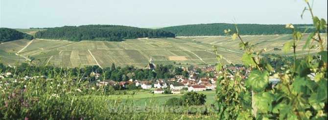 ���޵ں����Ĳ����������Ϲ��Ƽ�����֯�����Ų���¼