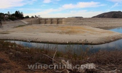 加州酿酒师面临最严重的干旱问题