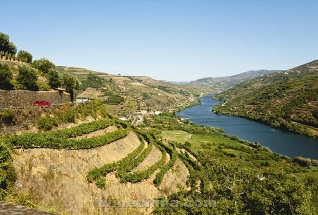 ������Espor&atilde;o��ׯ�Ƴ����׸���ݲ��ؾ�