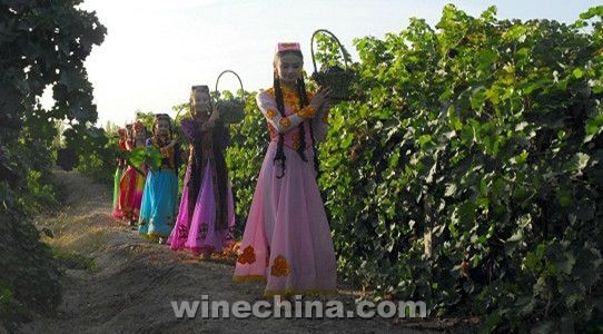 Chengdu Food & Drinks Fair 2014 (8) Xinjiang Sunyard Winery
