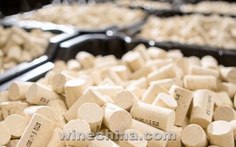 SITEVINITECH 2014 (15) Yantai Yilong Wine Packaging Co., Ltd