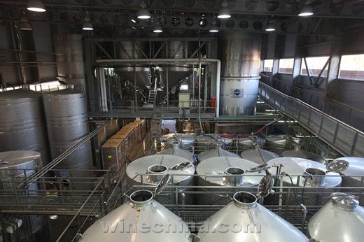 中葡网海外行(三十六)初访以色列:加利利酒庄的三大“成功秘诀”