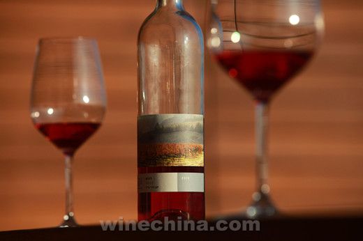 中葡网海外行(三十六)初访以色列:加利利酒庄的三大“成功秘诀”
