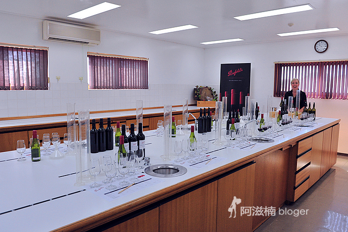 亲调DIY 世界独一无二的葡萄酒