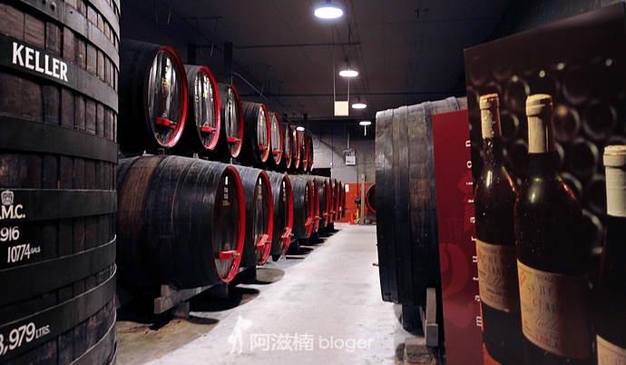 亲调DIY 世界独一无二的葡萄酒