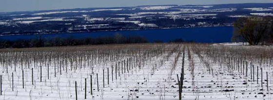 U.S. Declares Finger Lakes Wine Country A "Disaster" Zone