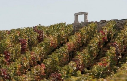 LVMH buys Burgundy grand cru vineyard