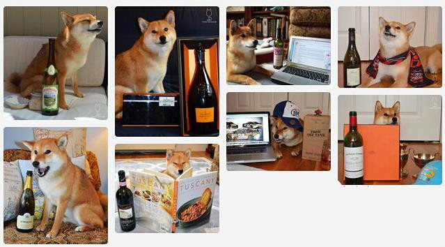 “柴犬品酒师”的品酒笔记