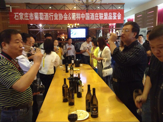 Pucui(Shijiazhuang)Chinese Wine Week(3) Pucui Meet Imported Wine Merchants