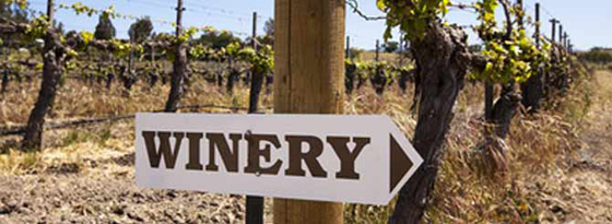 500 U.S. Wineries May Be Sold Within Five Years