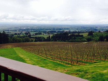 Oregon wineries boost profile through direct sales