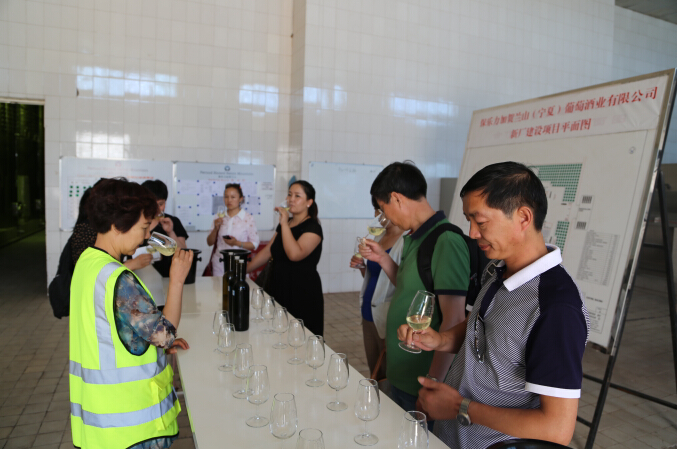 China Wine Region Travel (23) Pucui Alliance Visited Wineries in Eastern Foot of Helan Mountains