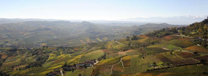 Piedmont Vineyard Landscape Recognized by UNESCO