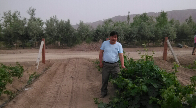 Chinese Winemakers(51)Cheng Zhenglong:Because Love Wine