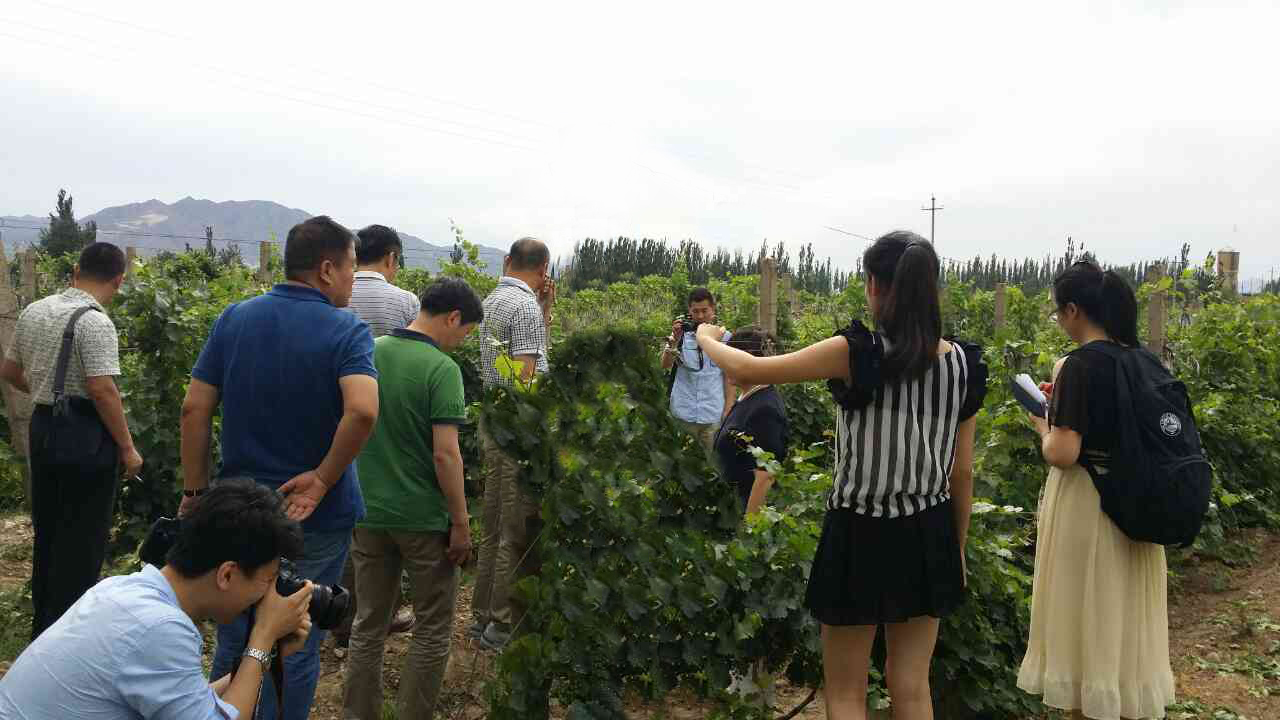 China Wine Region Travel (28) Art Tour & Bonfire Party