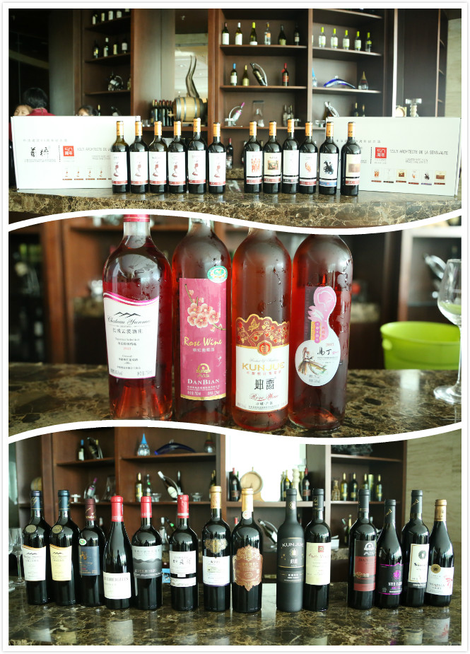 Tasting of PUCUI Volti Art Works Collection Wines Held in Beijing