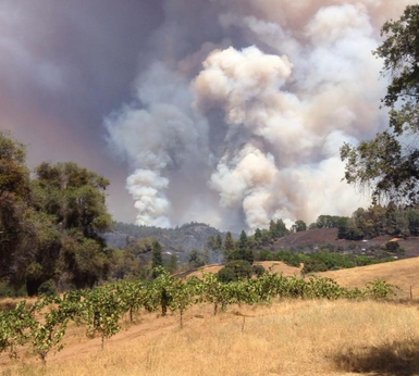 US wineries count cost of latest fire