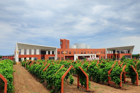 Xinjiang Tiansai Vineyards Held Opening Ceremony