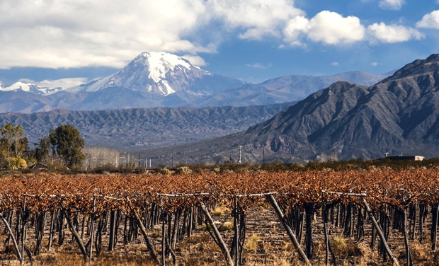 UK is major priority, says Wines of Argentina as exports soar